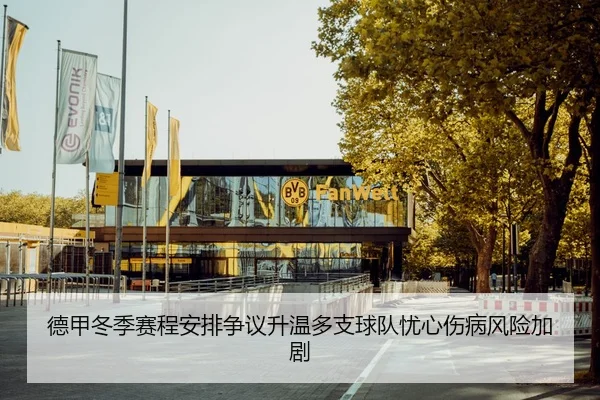德甲冬季赛程安排争议升温多支球队忧心伤病风险加剧