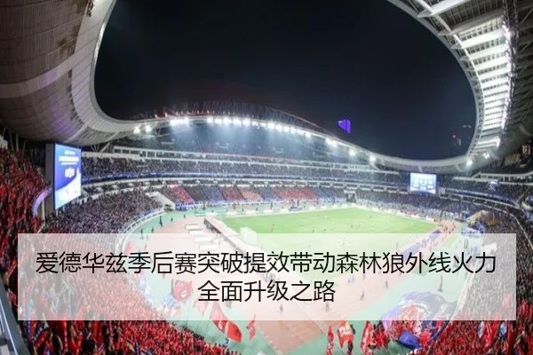 爱德华兹季后赛突破提效带动森林狼外线火力全面升级之路